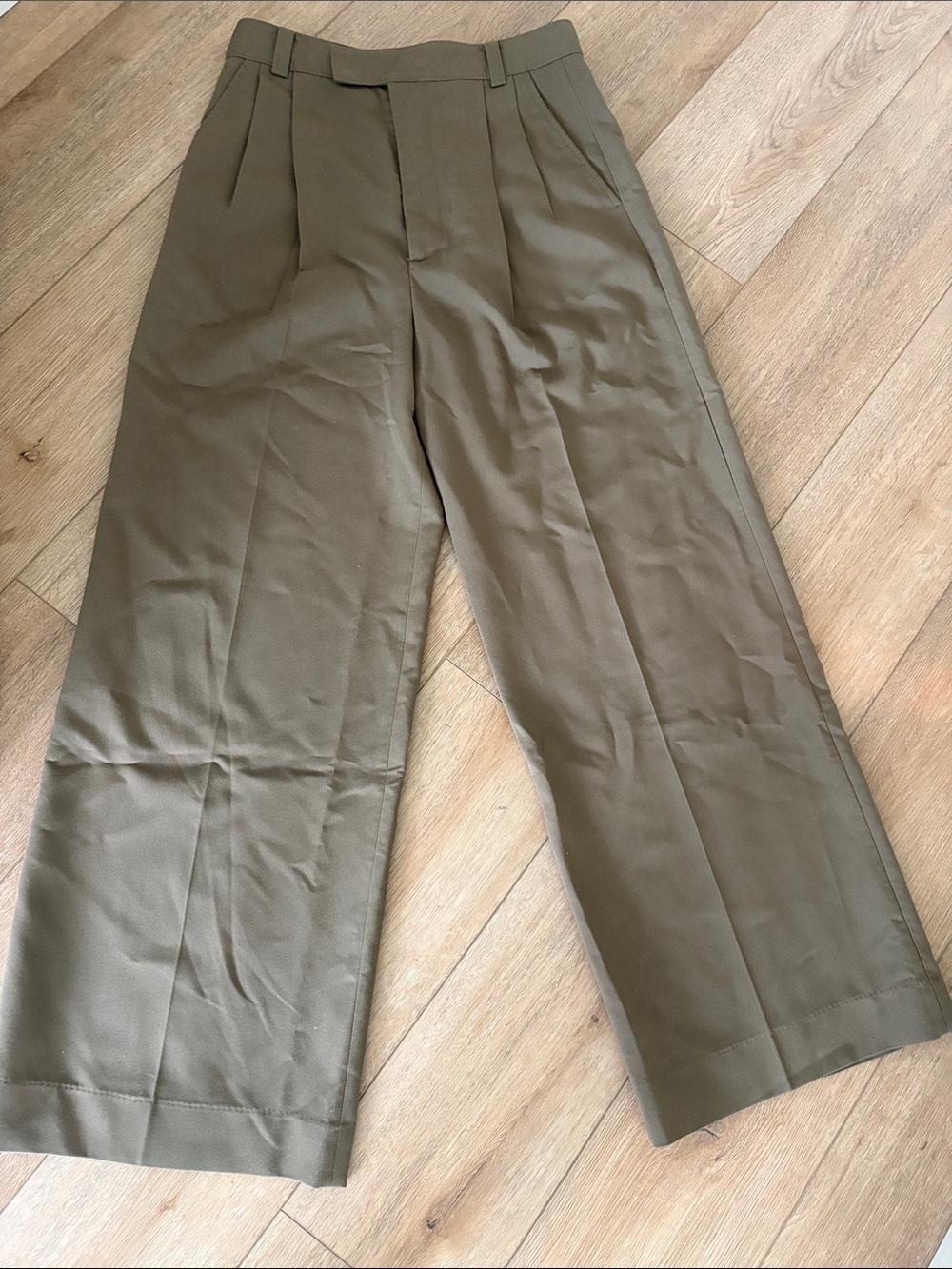 Zara Paris Pleated Wide-Leg Trouser in Olive